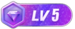 LV5 等级-LV5-空岛ACG